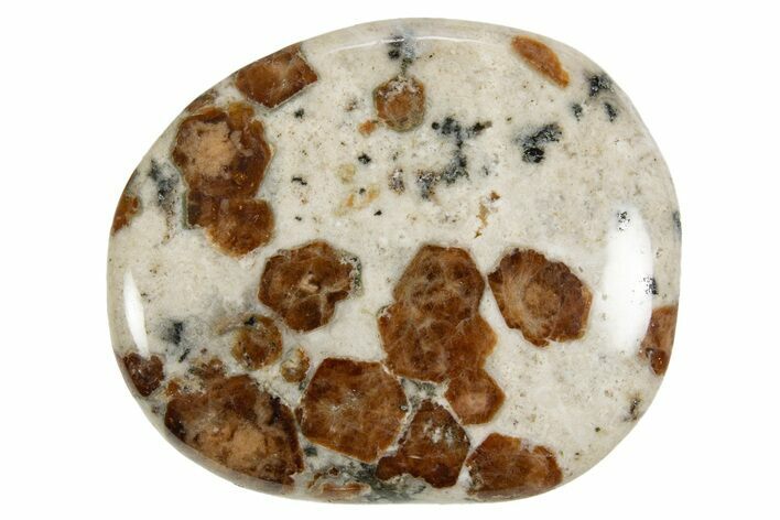 Polished Garnet In Wollastonite Stone - Namibia #343974